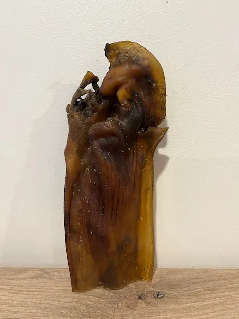 Peaux de cerf