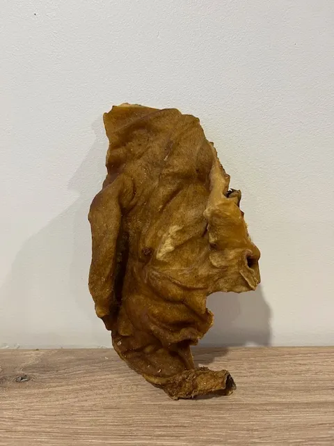 Peau de saumon avec chair