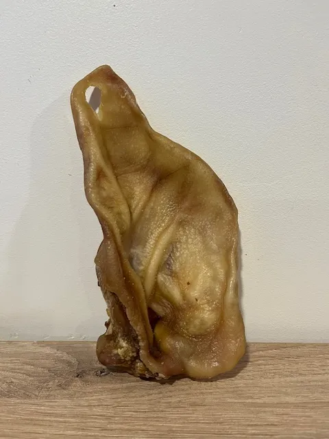 Oreille de porc
