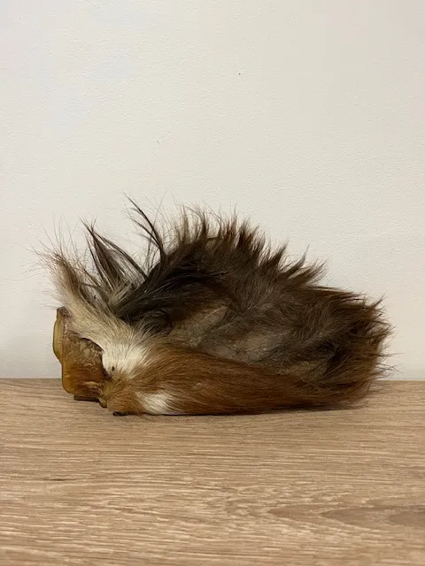 Masque de boeuf a poils